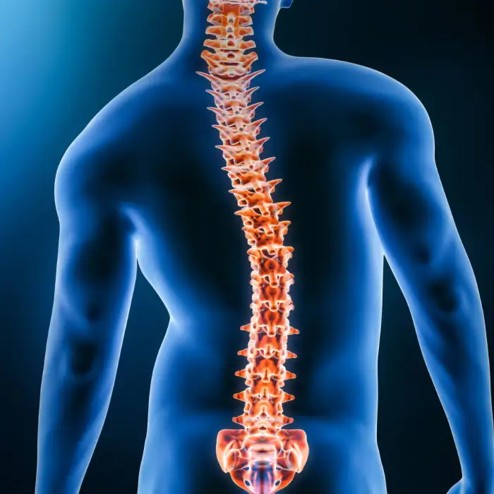 Surprising facts you need to know about adult scoliosis